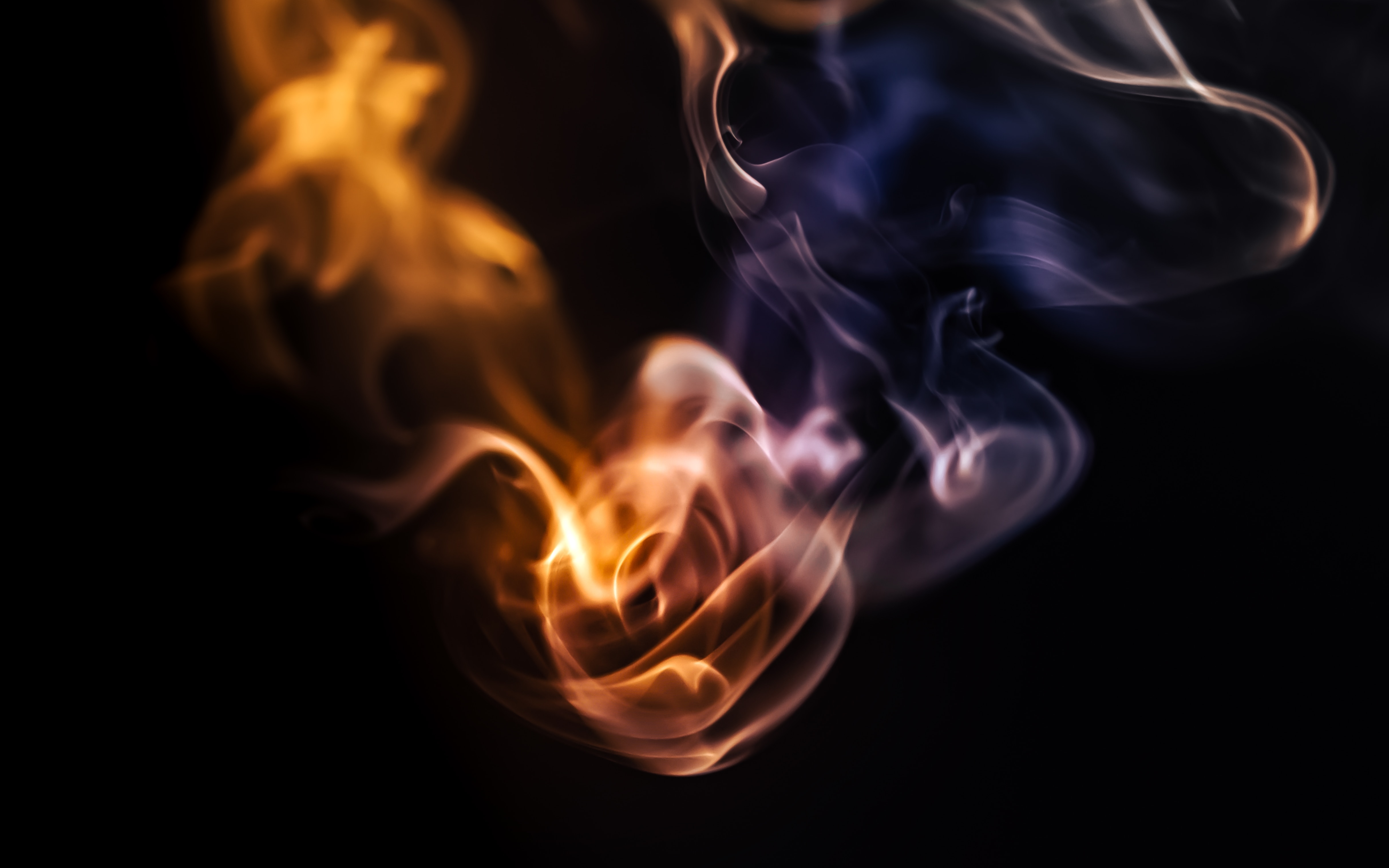 The Five Senses Exercise